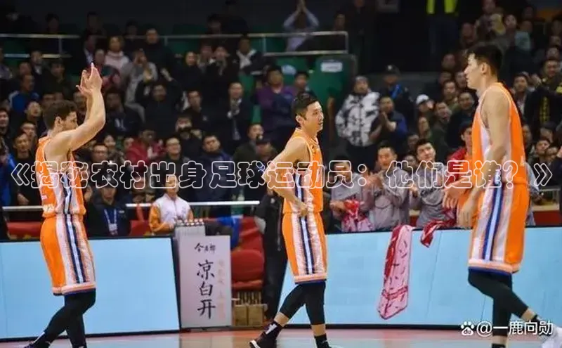 意昂体育4代理赛富乐斯