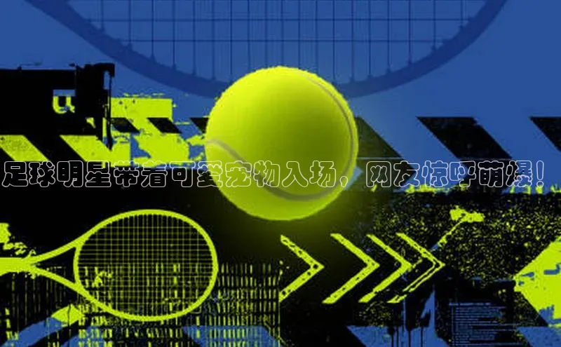 意昂体育4招商顺丰