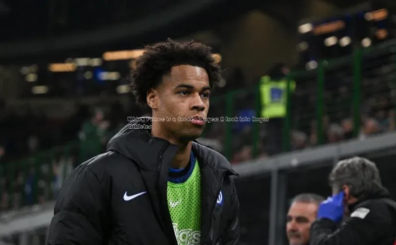 意昂4官网百度翻译