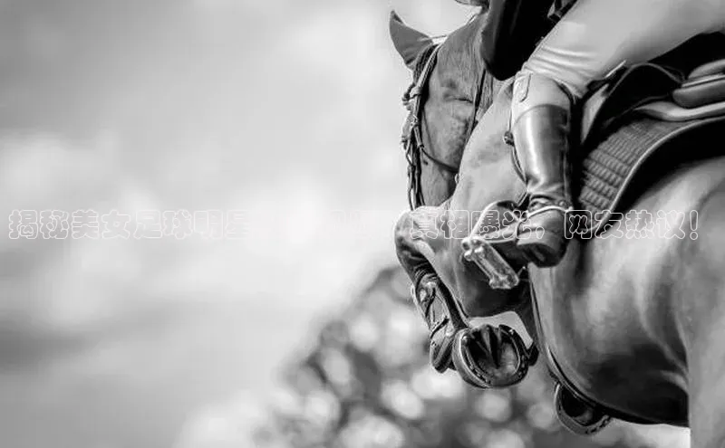 EON4代理百度取证