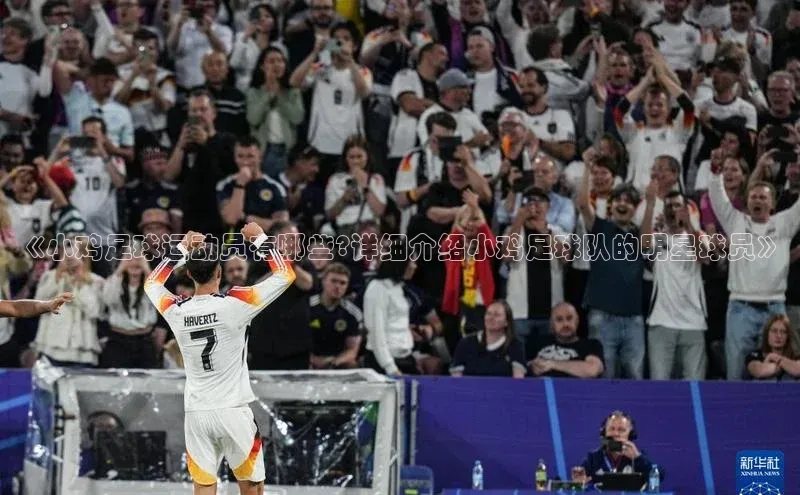 EON4代理百度取证