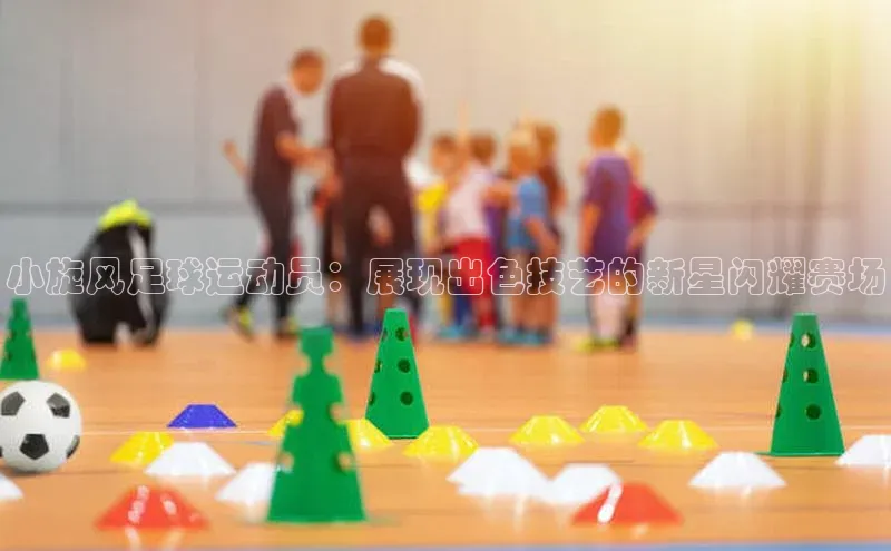 意昂体育4代理赛富乐斯