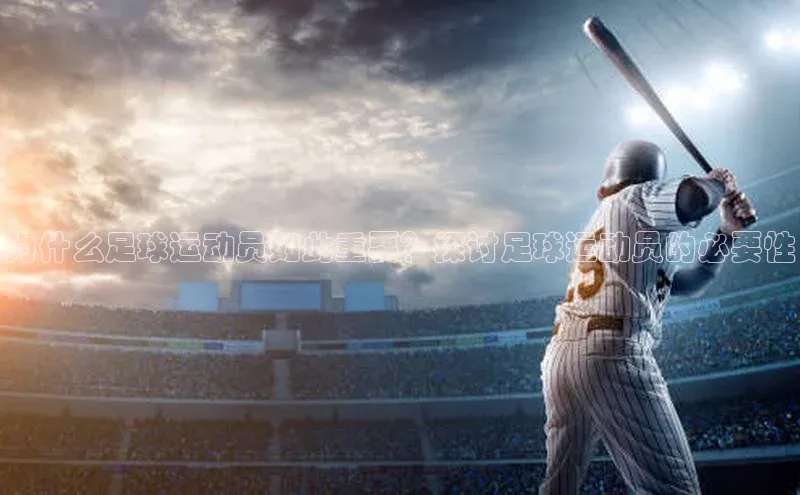 意昂体育4代理赛富乐斯