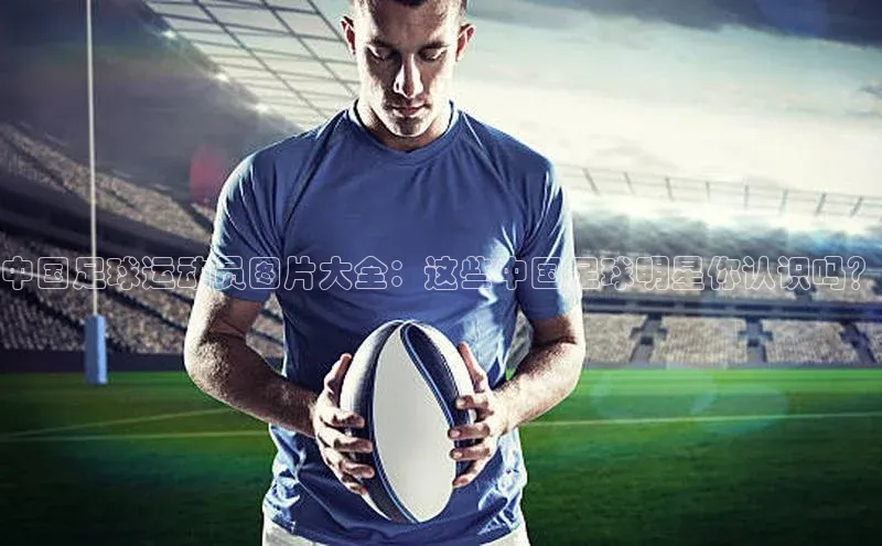 意昂体育4阿里尔公司