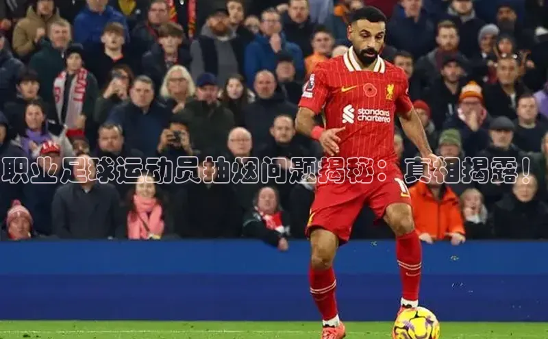 EON4招商百度网盘