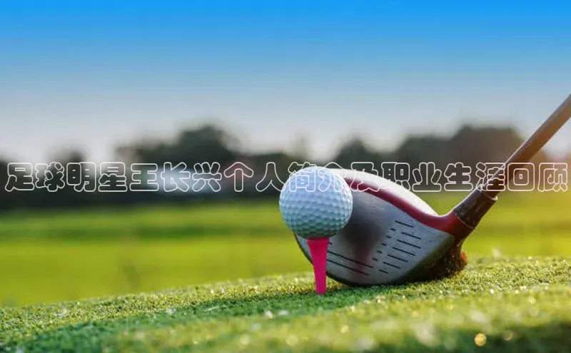 意昂4招商中文在线